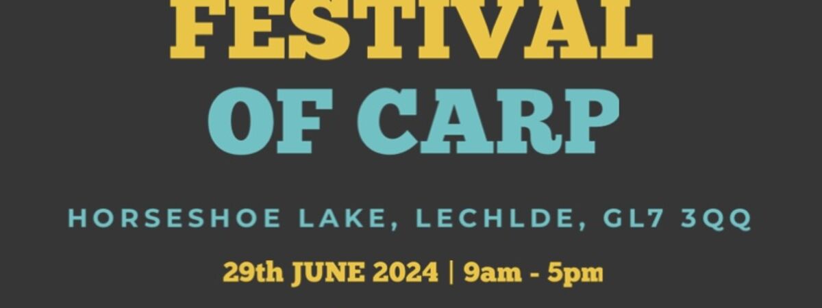 Festival of Carp 2024