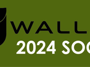 Wallop Social 