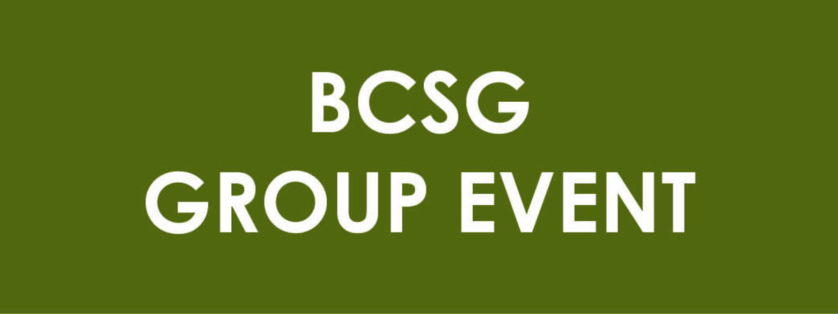 BCSG GROUP EVENT 2026