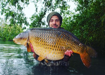 Little Farriers  The Carp Society