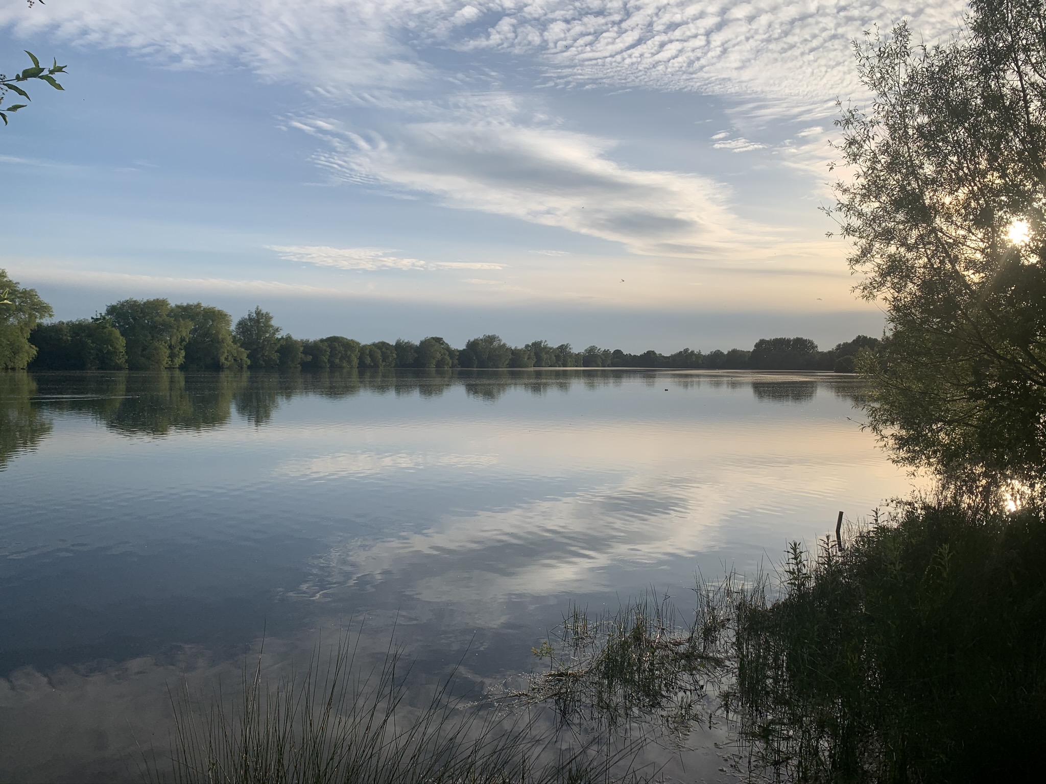 Horseshoe Swims Closed 