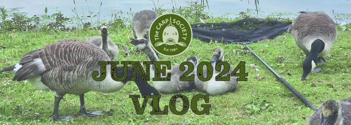 MIles June 2024 Vlog 