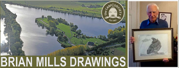 BRIAN MILLS DRAWINGS BRIAN MILLS DRAWINGS