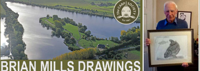 BRIAN MILLS DRAWINGS BRIAN MILLS DRAWINGS