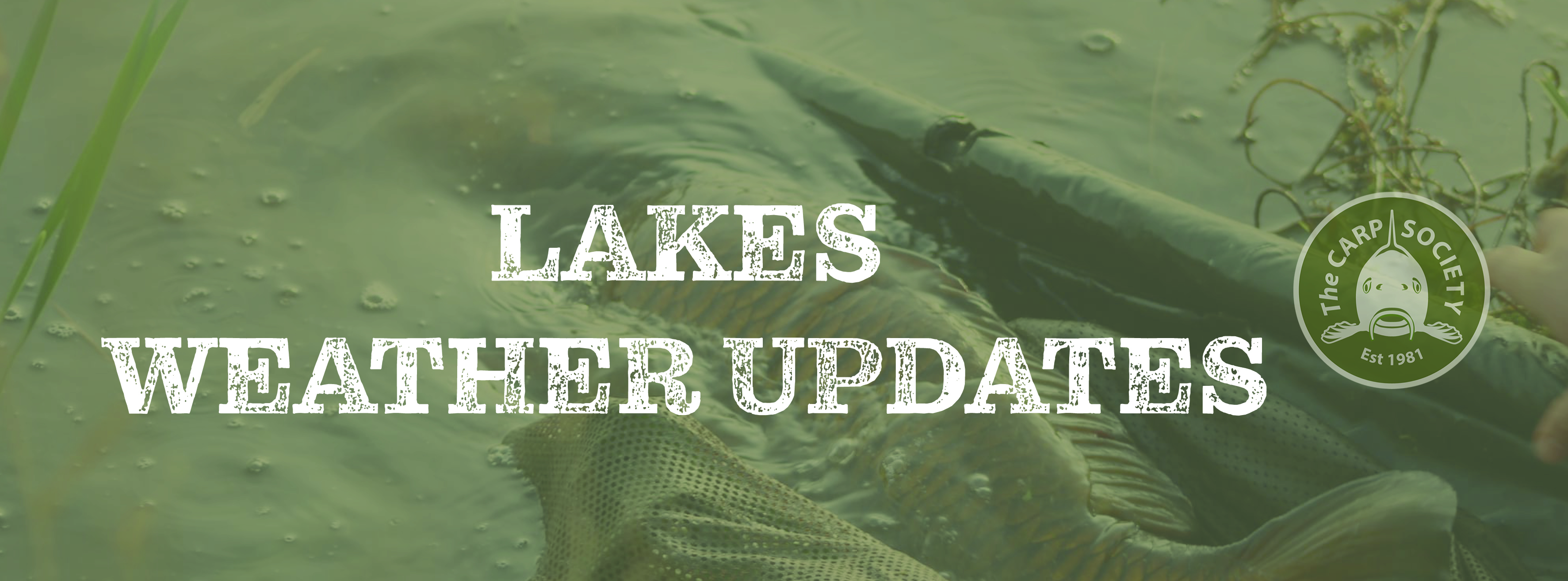 Lake - Weather updates DEC 2024 Lake - Weather updates DEC 2024