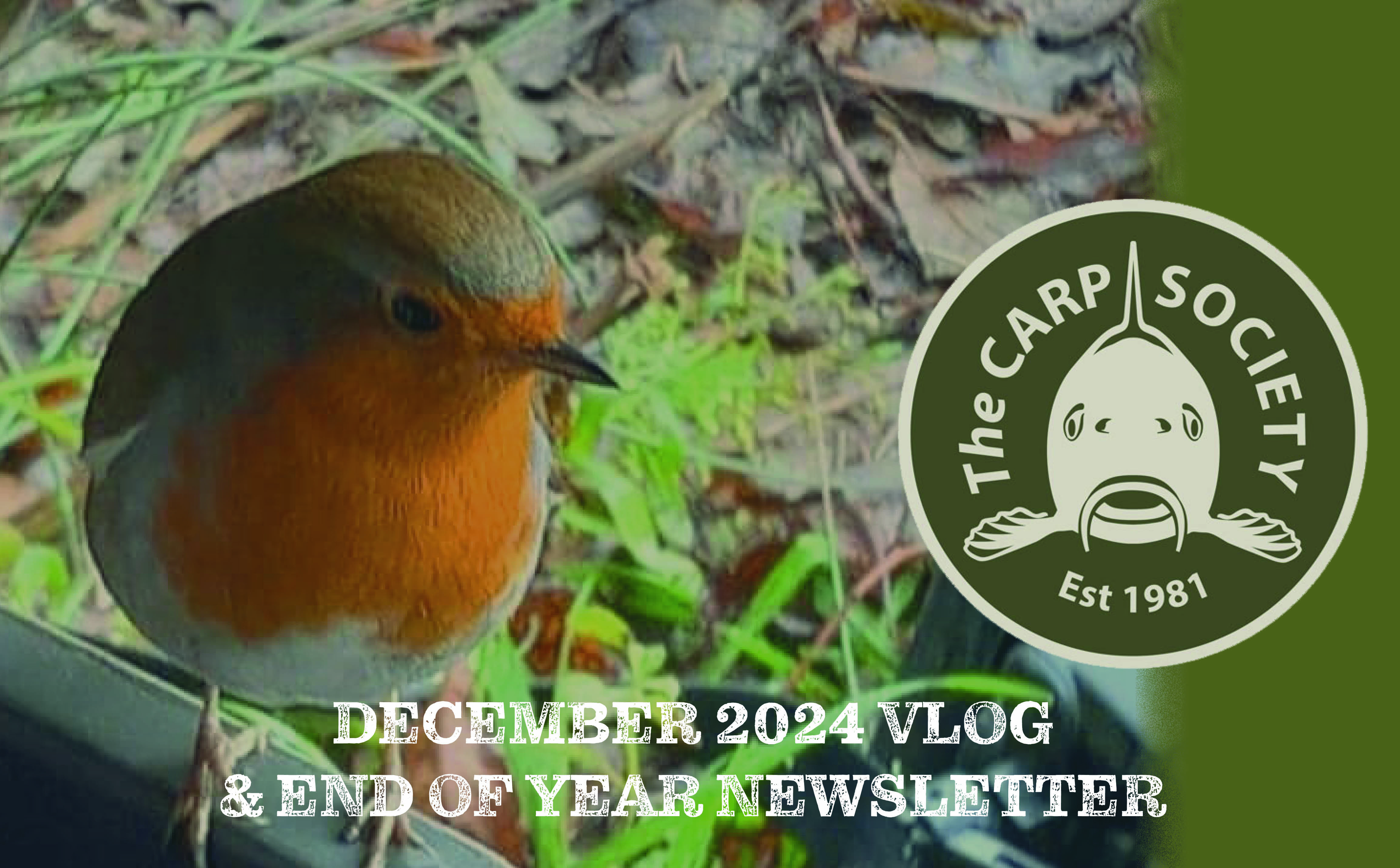 December Vlog and Carp Society end of year newsletter December Vlog and Carp Society end of year newsletter