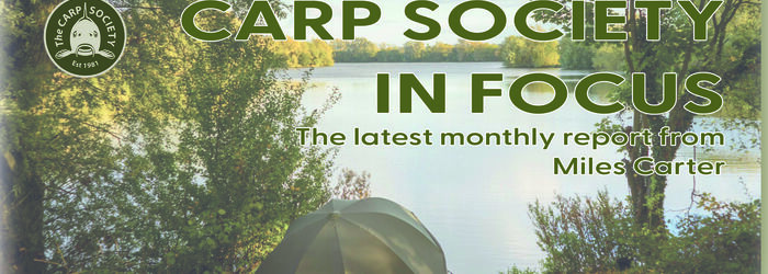 Carp Society In Focus - April 2025 Carp Society In Focus - April 2025