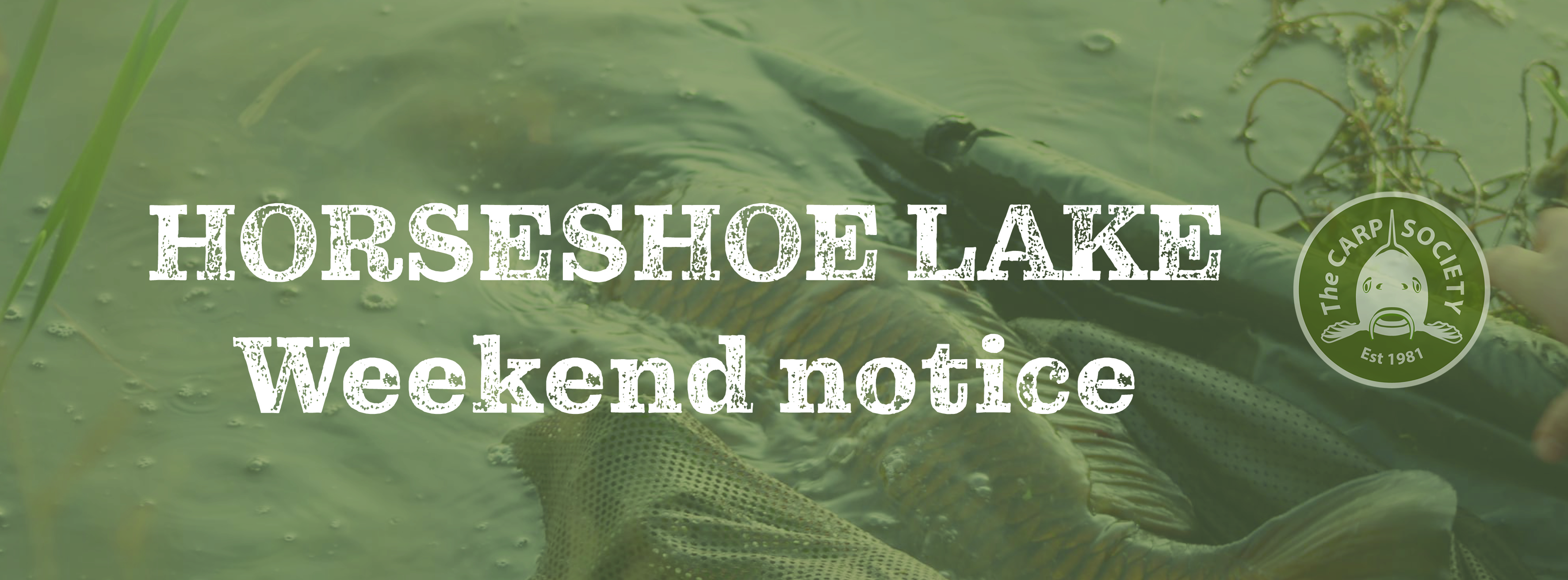 NOTICE: Weekend Access 29th August 