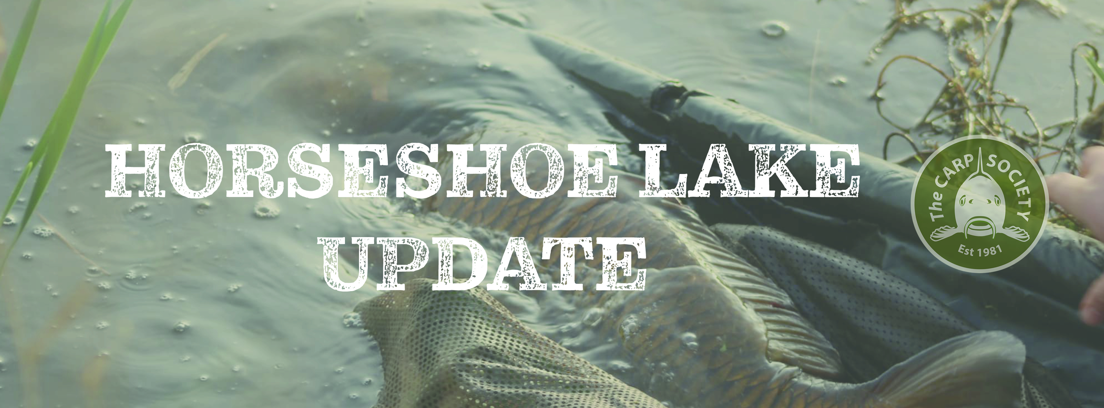 HORSESHOE LAKE UPDATE