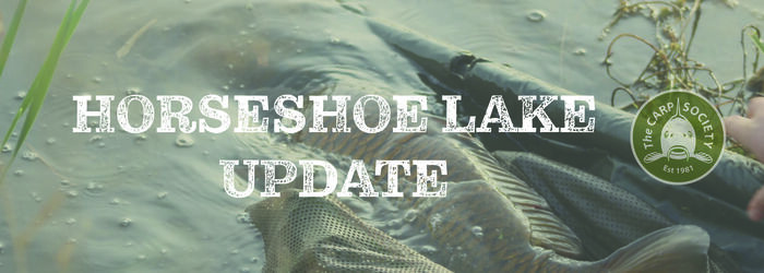 HORSESHOE LAKE UPDATE