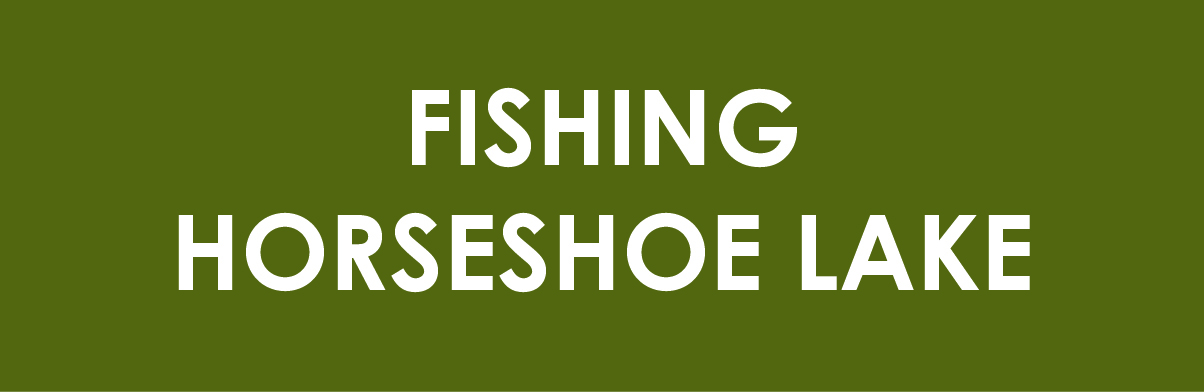 Fishing at Horseshoe Lake 