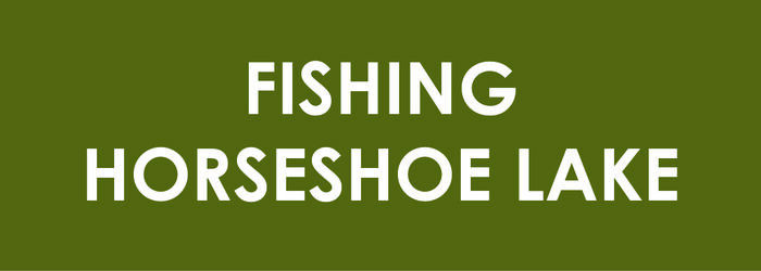 Fishing at Horseshoe Lake 