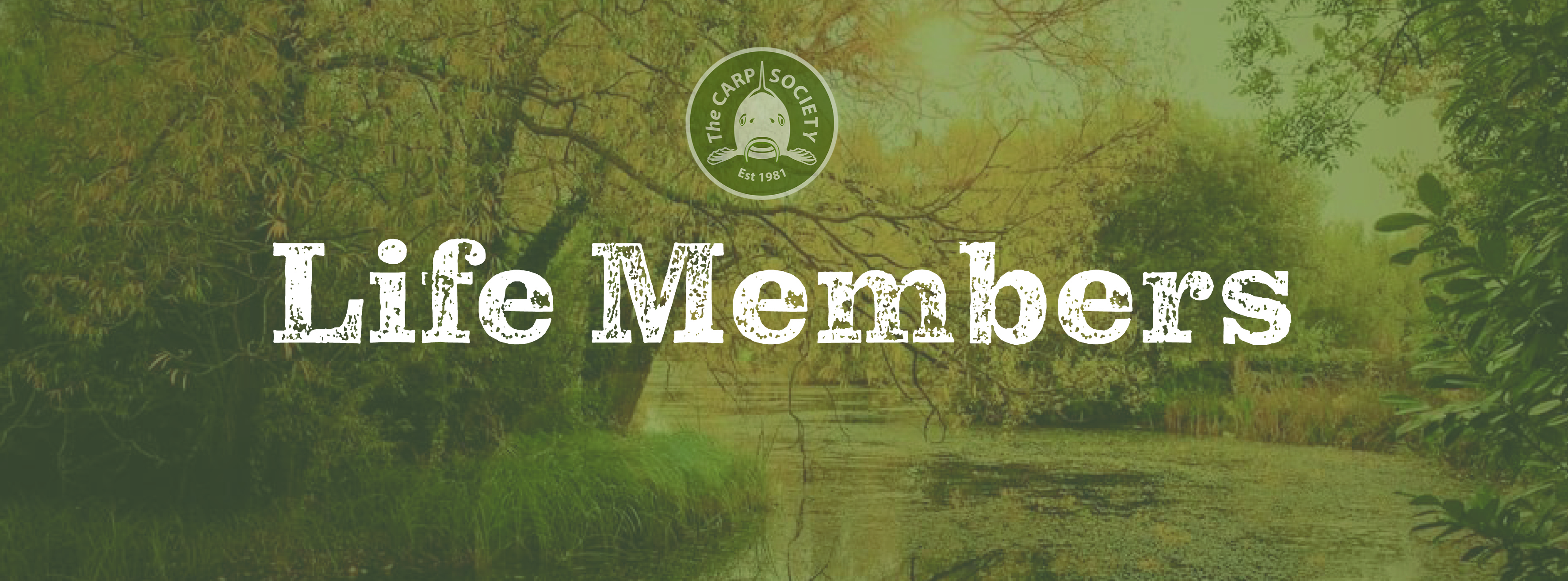Life Membership Update 