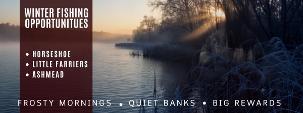 Winter Fishing - The Carp Society waters
