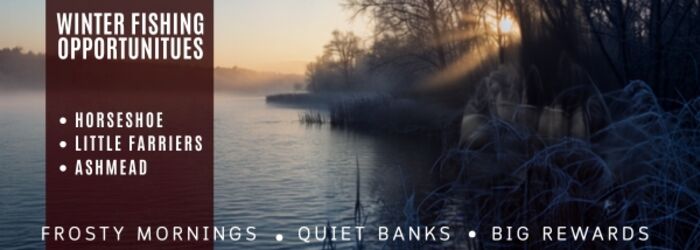 Winter Fishing - The Carp Society waters