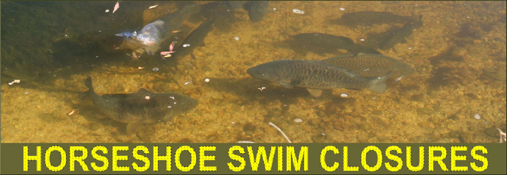 SWIM CLOSURES ON HORSESHOE SWIM CLOSURES ON HORSESHOE