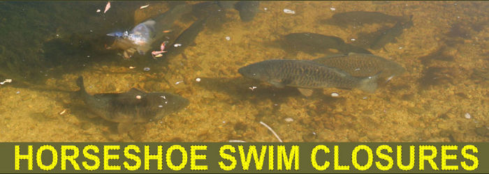 SWIM CLOSURES ON HORSESHOE SWIM CLOSURES ON HORSESHOE