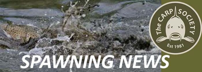 SPAWNING NEWS SPAWNING NEWS