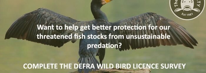 Call to action - Defra Bird Licence Survey Call to action - Defra Bird Licence Survey