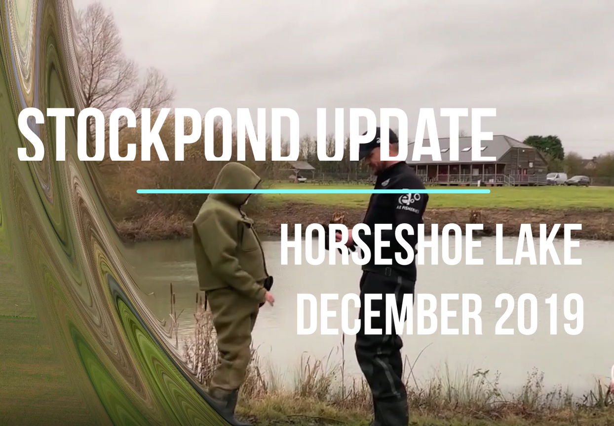 Stock pond update - December 2019 Stock pond update - December 2019