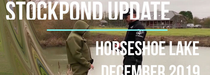 Stock pond update - December 2019 Stock pond update - December 2019
