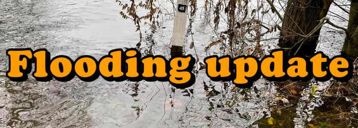 FLOODING UPDATE - HORSESHOE LAKE 