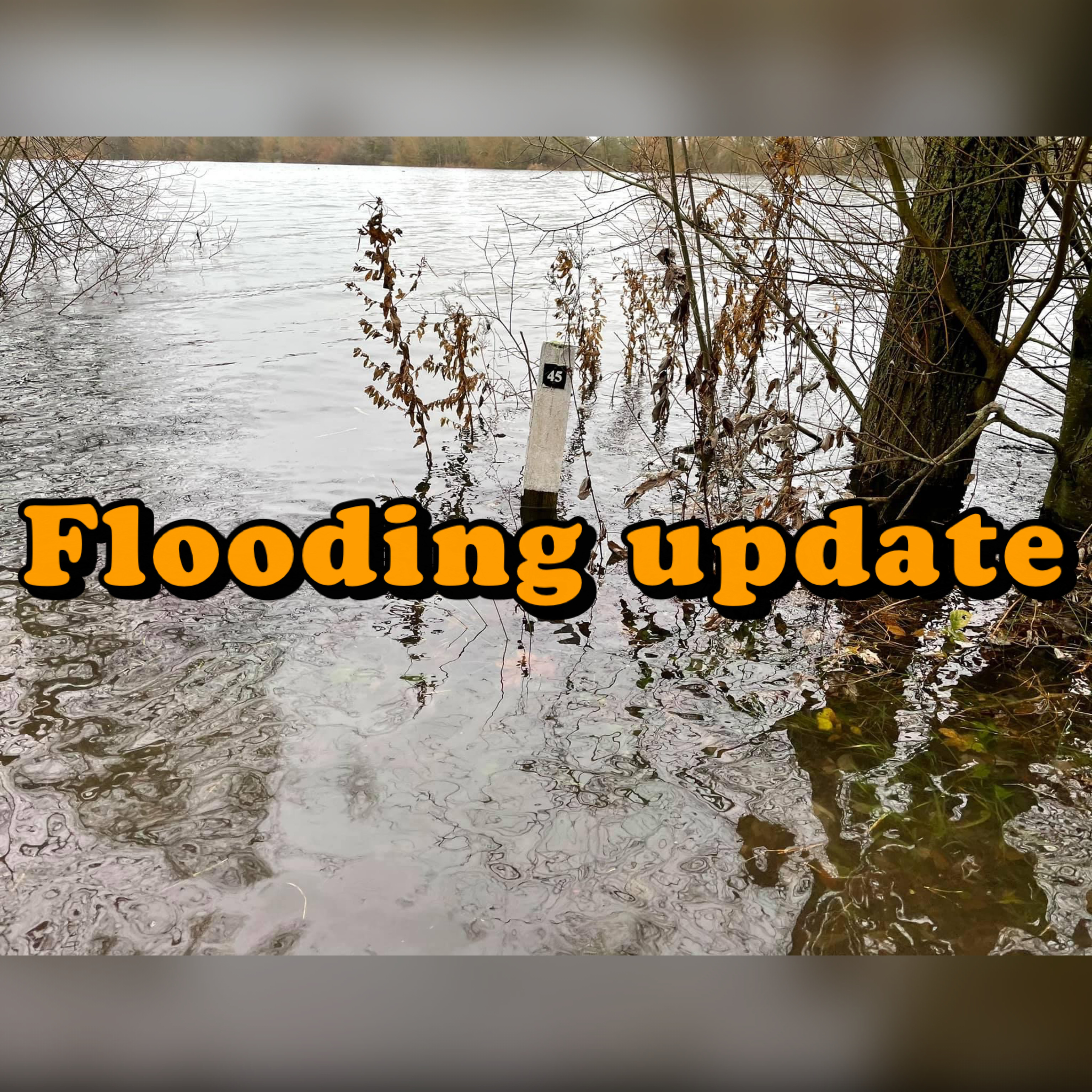 FLOODING UPDATE - HORSESHOE LAKE FLOODING UPDATE - HORSESHOE LAKE